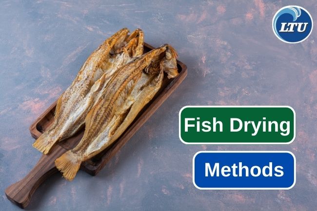 4 Different Ways to Drying Fish